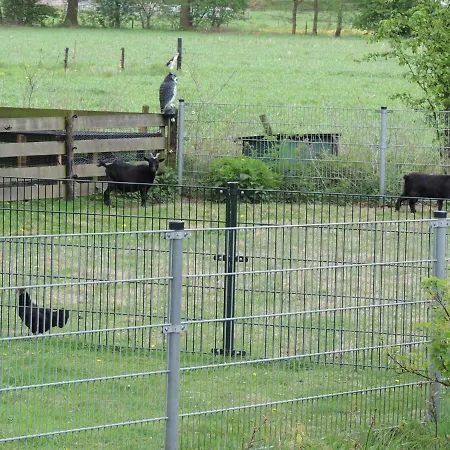 Landleven De Wyckel 2 * Oldebroek